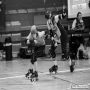 20140329_21-17-21_IMG_2036